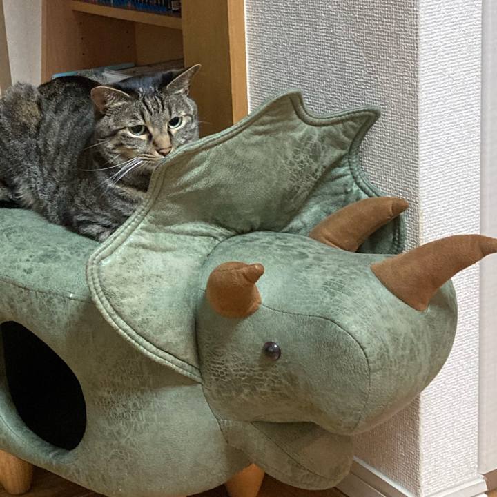 Bada36d6 873c 4769 9b4e a58a6f446319 1624116134406