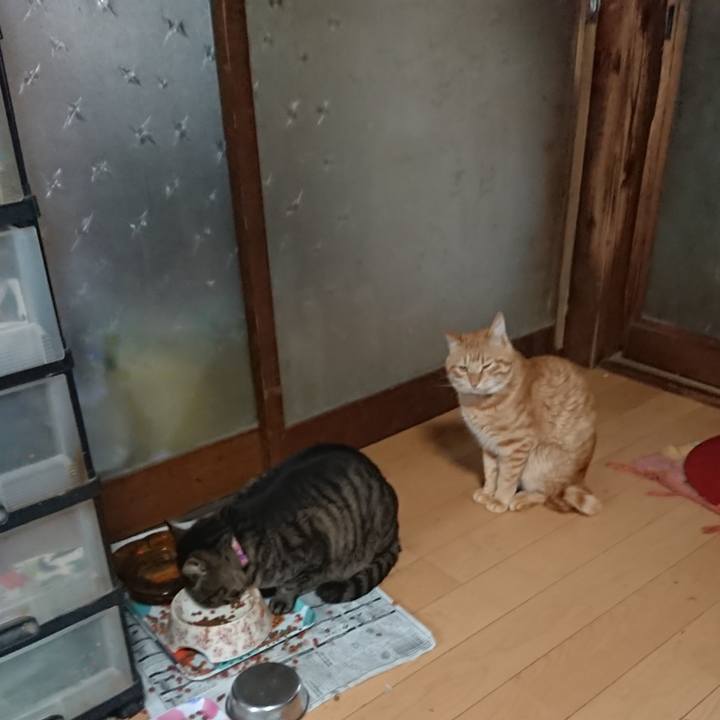 Bada4b6b d9ce 4347 9c99 9ab056352d70 1651494663547