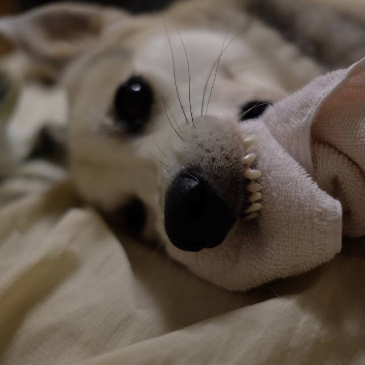 Bada4bbc c882 4117 ad70 fbf7450a363f 1566394173366