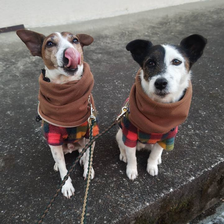 Bada8d66 58d8 40d8 b95a c4f05cb02ccb 1769725663938