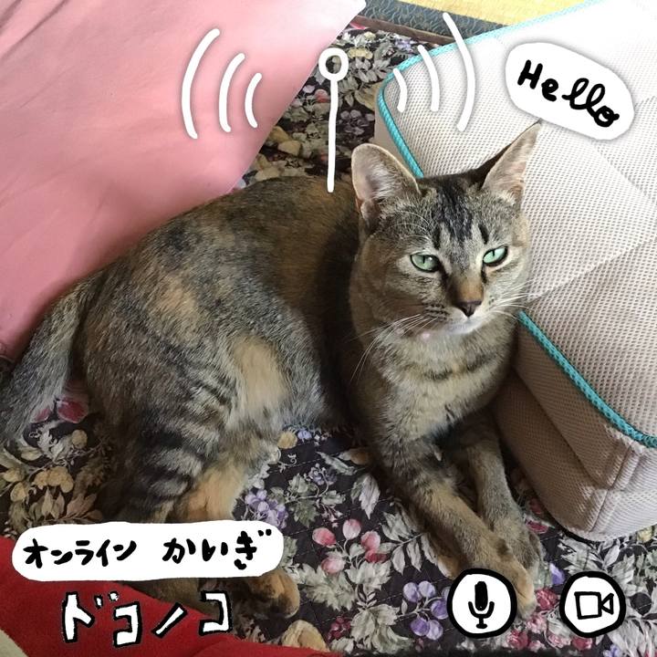 Badab028 2457 45d0 99d3 60002e9c8f70 1590810642865