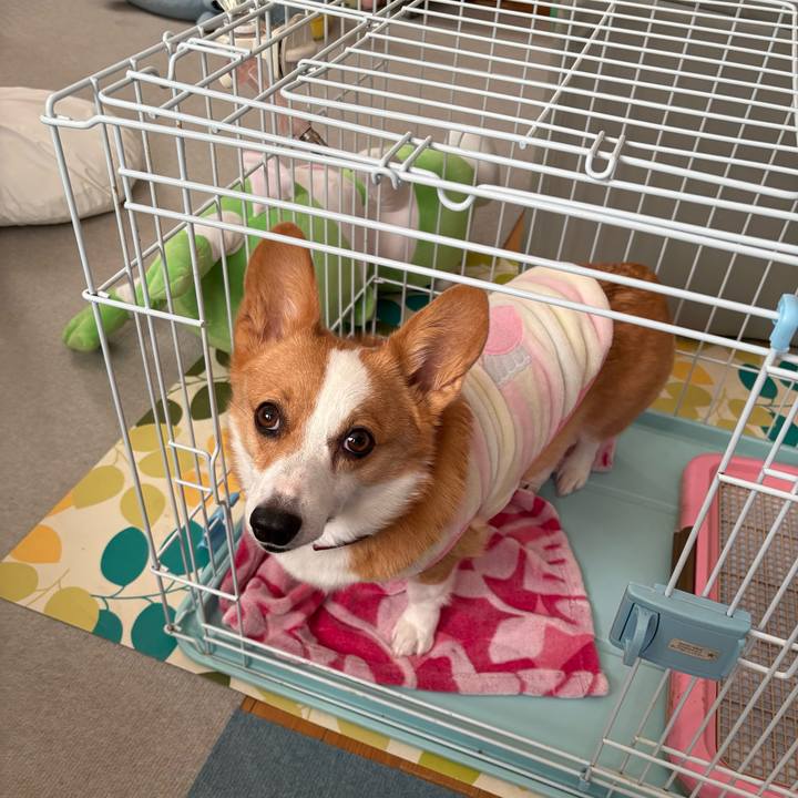 Badadfda c4db 483a 9087 55b490ba4bc7 1767424267418