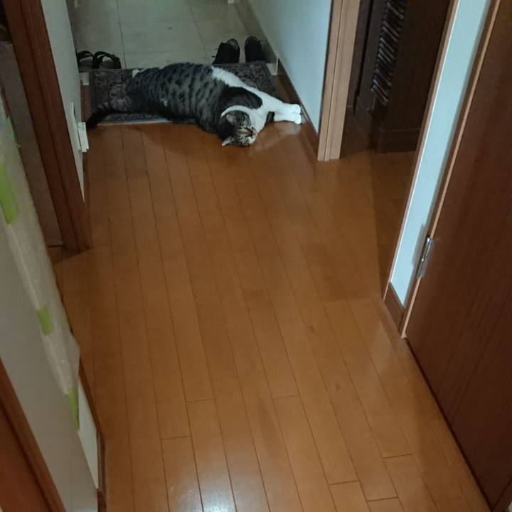 Badb2093 ba21 49c0 ba07 80973d69ed0f 1570234255170