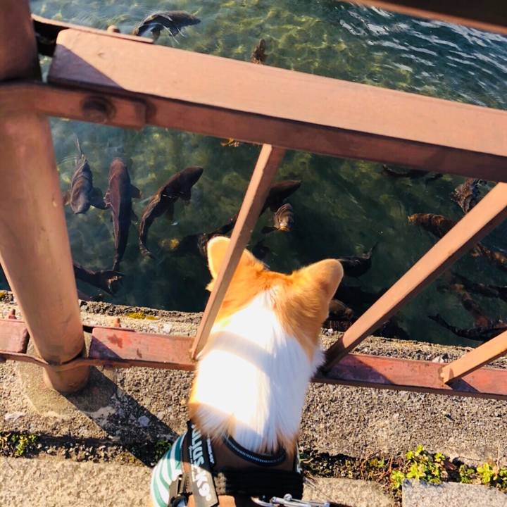 Badb272f 9587 45ef b968 f1bbd81f076c 1578055387100