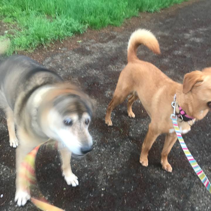 Badb329d 40d3 437f 8784 3adb18c1058e 1556837940070