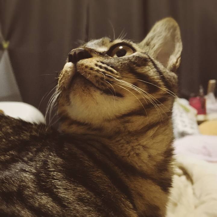 Badb7085 b39b 494b 852b 9adf7afa6692 1541934999306