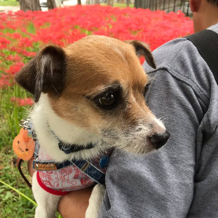 Badb71a6 436f 45af a5da 7c09f451df3d 1537762672267