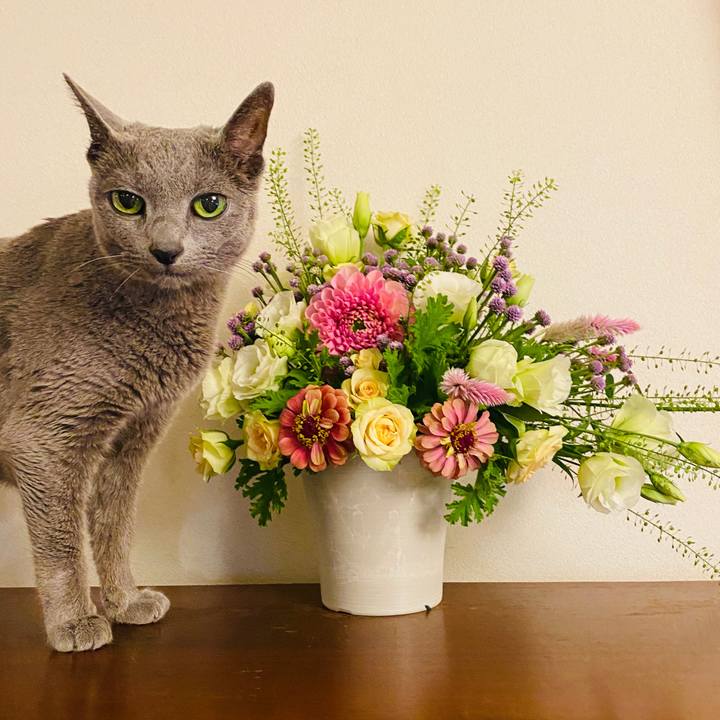 Badbfde3 2e3c 432d b9f8 3b77bbe24651 1601092719756