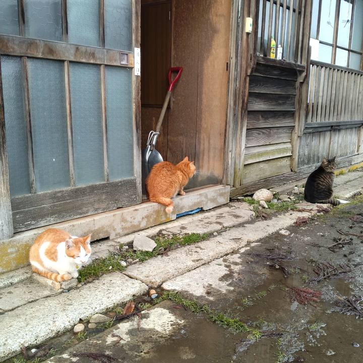 Badc06cd aebd 4e55 8114 896e5a940b90 1740813107123