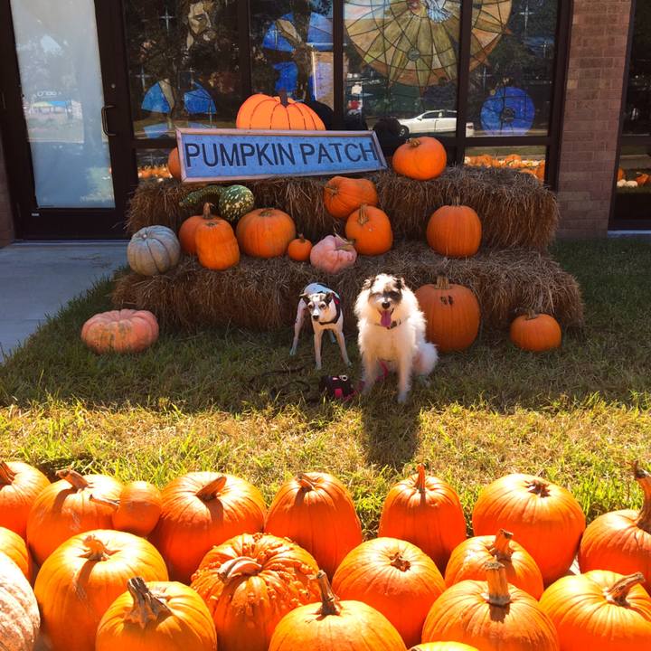 Badc34b7 cd32 42c2 8bea c2a266c0818b 1571523679201