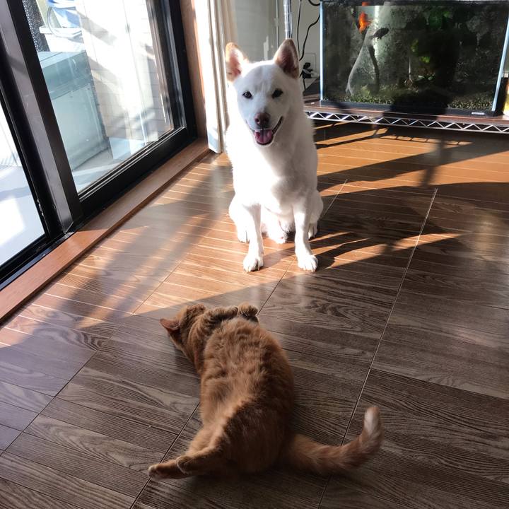 Badc4b0c 1e02 441e 94eb 7603c8ff0595 1569886008469