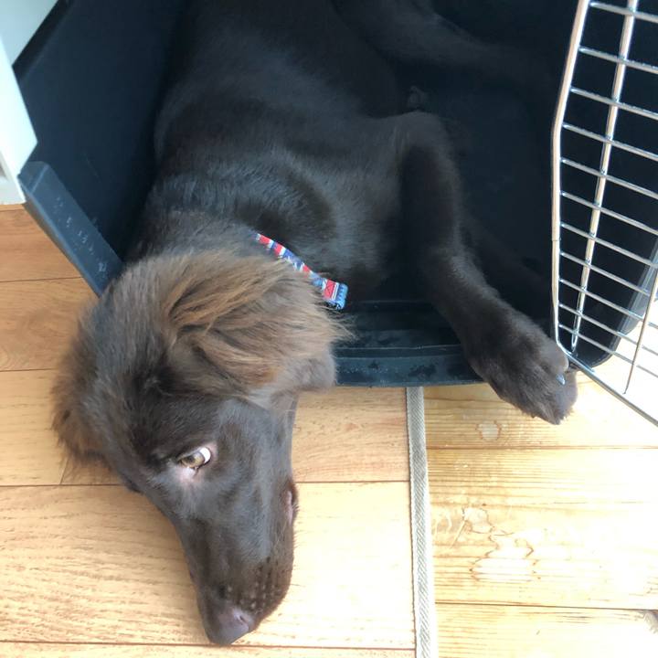 Badc662b 2553 4d86 9f30 d4c97b31fdae 1560847721505