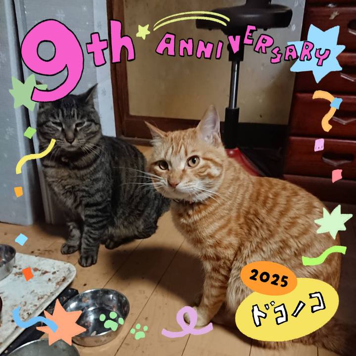 Badca85e d83f 4cbc be1d 338077c209dc 1749112439892