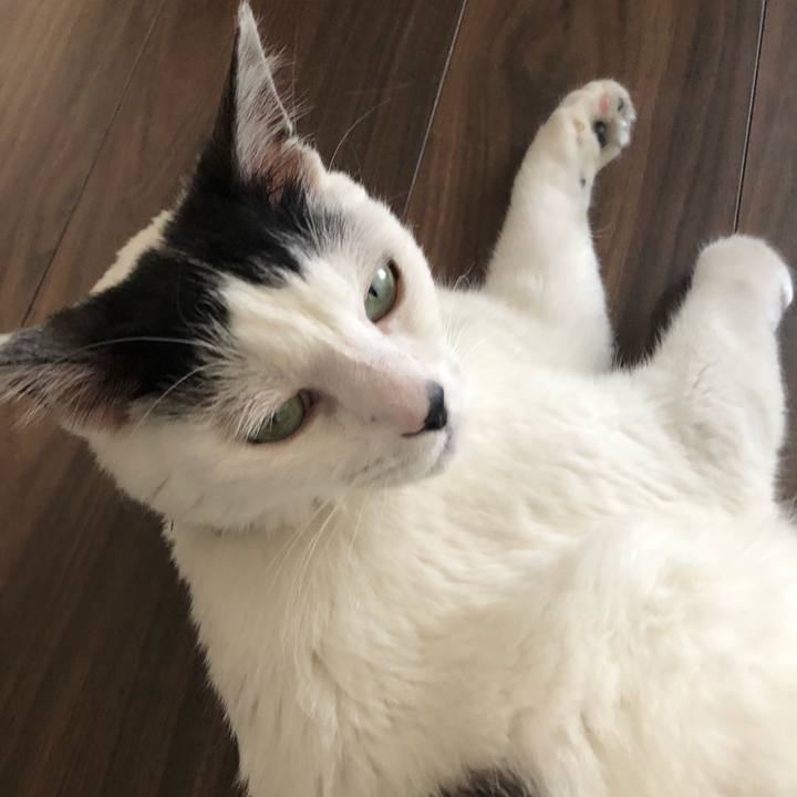 Badcae60 c53c 4141 9222 4da1b1ccbc1d 1560644879130