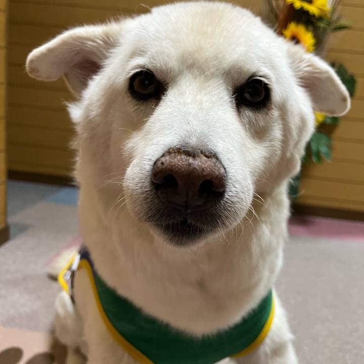 Badccd41 3089 4d45 922a 34cb5f06ae6b 1758323622435