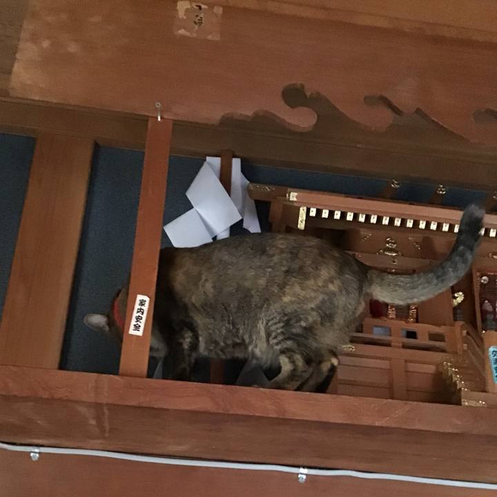 Badd2339 f87c 47e6 9c30 ba71c25da3d8 1643353725558