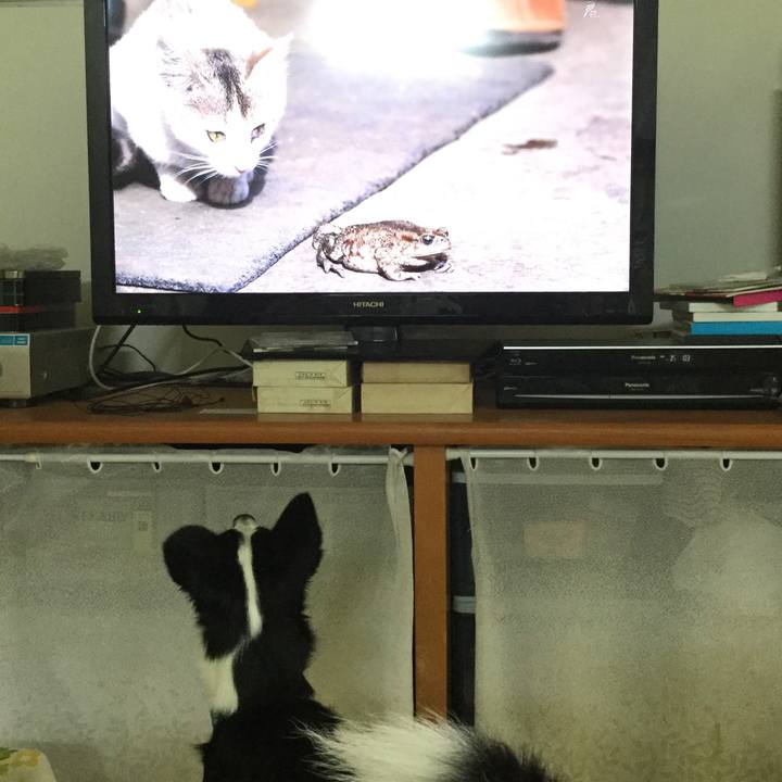 Badd24b7 4aea 4315 81b8 71fbdcf40663 1583389604961