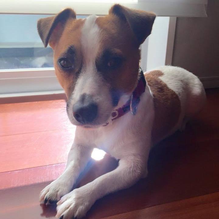 Badd5cf2 e372 401d a604 e03297c82def 1706698803799