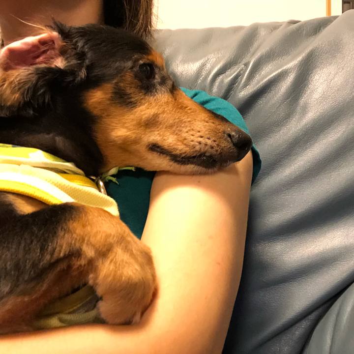 Badd785e a0cf 4e57 aa7c 7addf2939d88 1535978355742