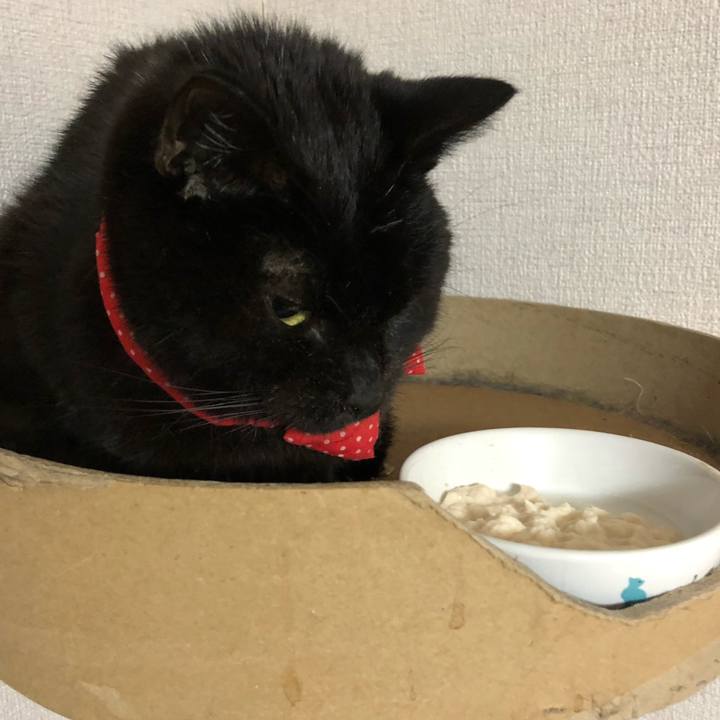 Badd7c3c 3f30 4f04 aa33 1242ec5bc2cc 1554557375927