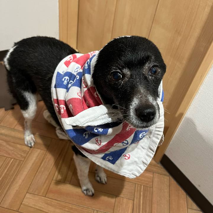 Badde466 e073 4252 a211 0336db4c90c8 1684159925691