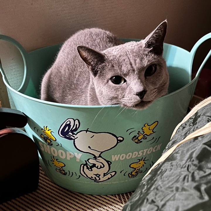 Bade50fe 7251 472e a1de bfebca5b9e93 1672225870092