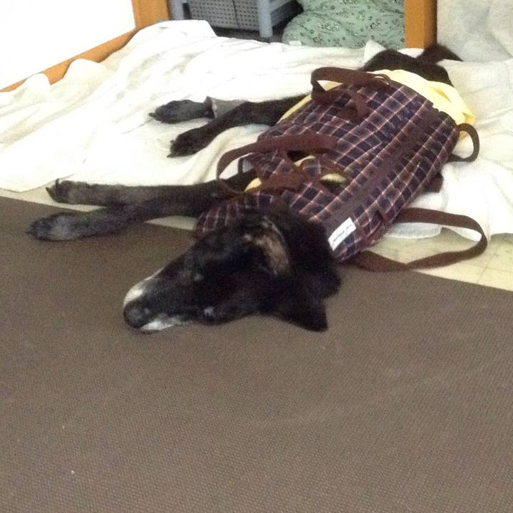 Bade5228 a8e7 42af 88bc 7d4231110133 1516082892458