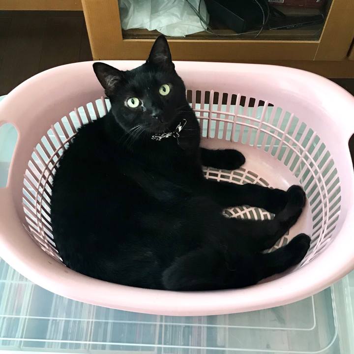 Bade5e9c 54ed 44dd 846d 3fadce7ba067 1596531446323