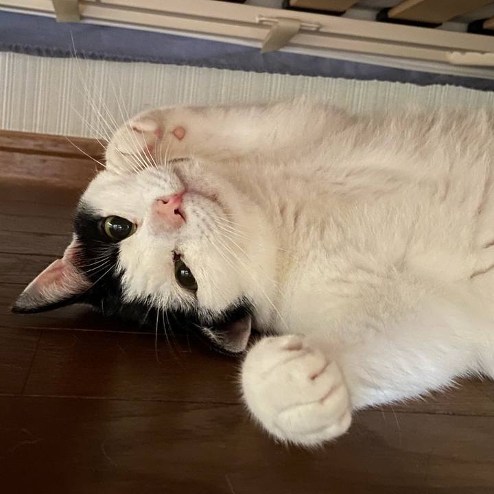 Bade8739 fab7 431f a031 aadbe31652c4 1595461909572