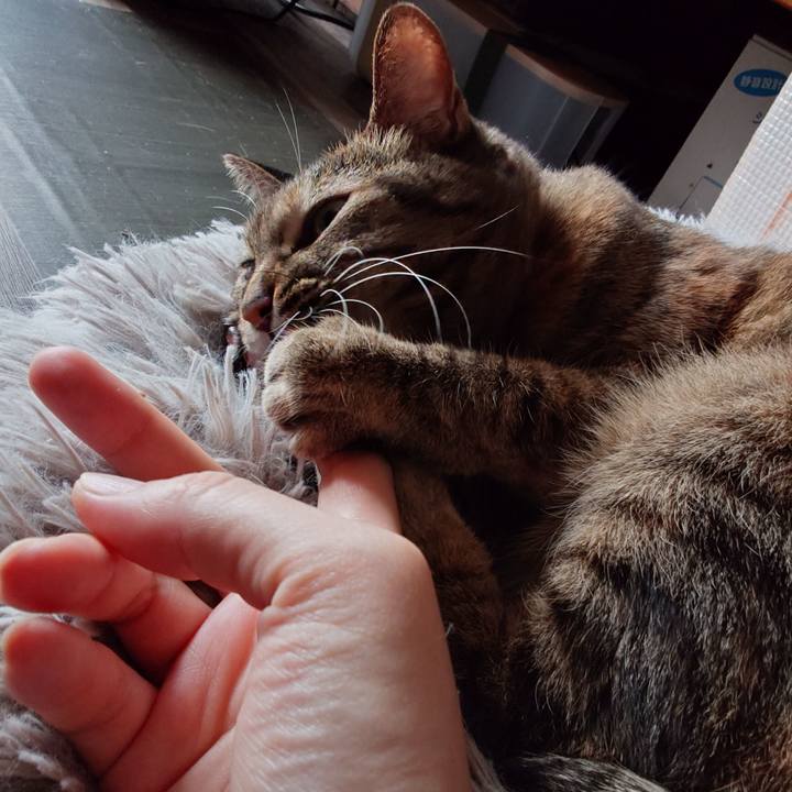 Badea96c ab32 4f01 9e62 525f2f37dbfd 1762558878815