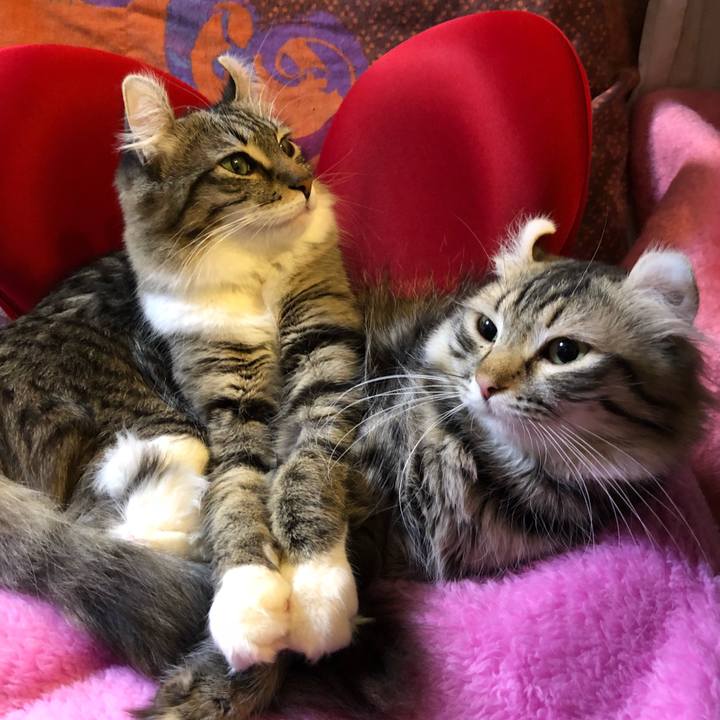 Badebaf4 57c0 4be8 aee2 ab93ae6a9e18 1518580904202