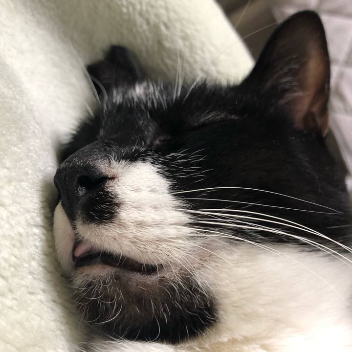 Badec6b1 4b75 4ff1 af0b 082b138b624e 1555704652439