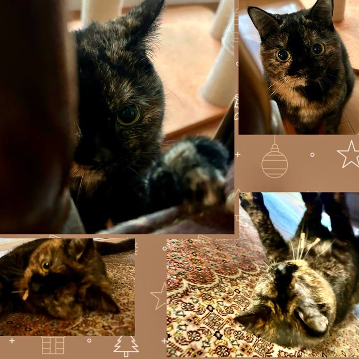 Badecd37 92bc 4e99 8417 e4ede61d664b 1764684863853