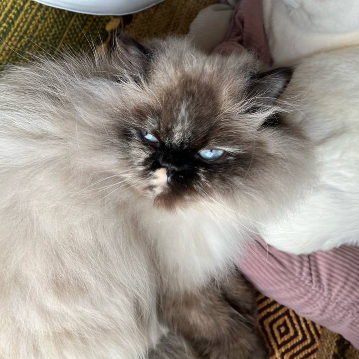 Badf03a5 d9c3 4162 889a e9dcb0393989 1676087640834