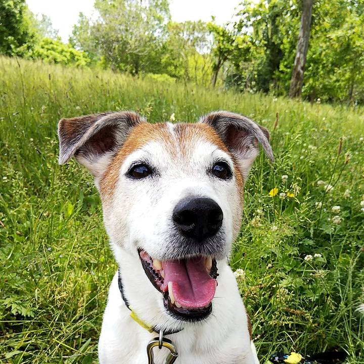 Badf09d7 1201 451d 97d2 00cef76fb0f6 1558251364395