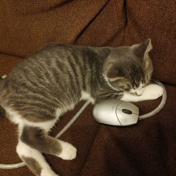 Badf0a59 1136 4e0e aede 71dfdbeb1055 1566222309768