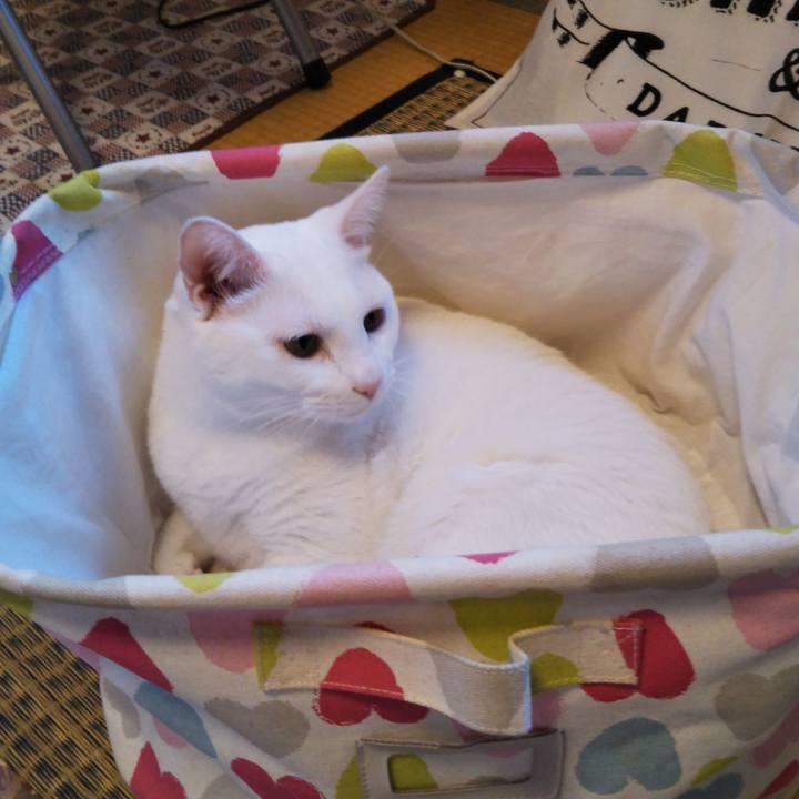 Badf2303 ede4 4e0c a2b6 aa862cb8fdfb 1539156649573