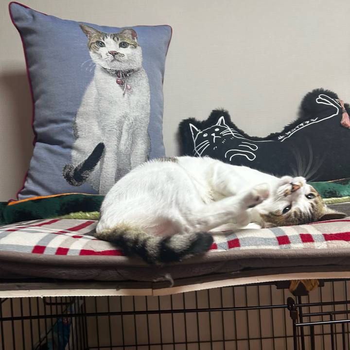 Badf247e 5a59 46d7 8272 8f66108fb50d 1761085992521