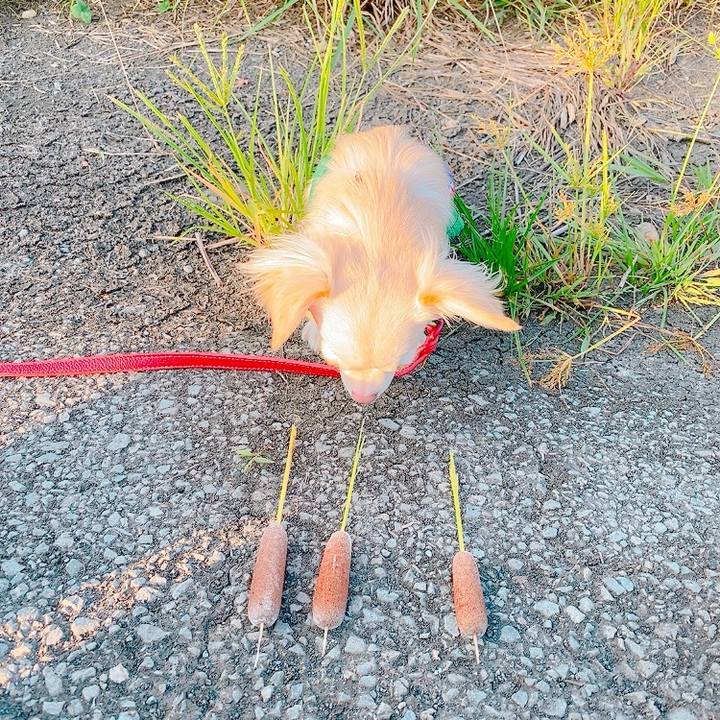 Badf258a 784f 4d2d be31 9289ee2498b3 1633874095913