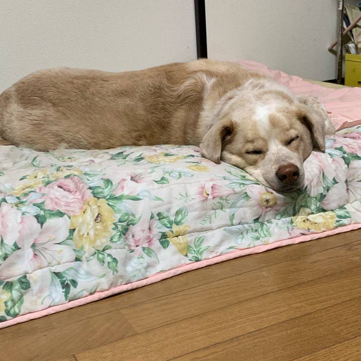 Badf294c e826 4126 9cf5 0fd5a38c010e 1552483248641