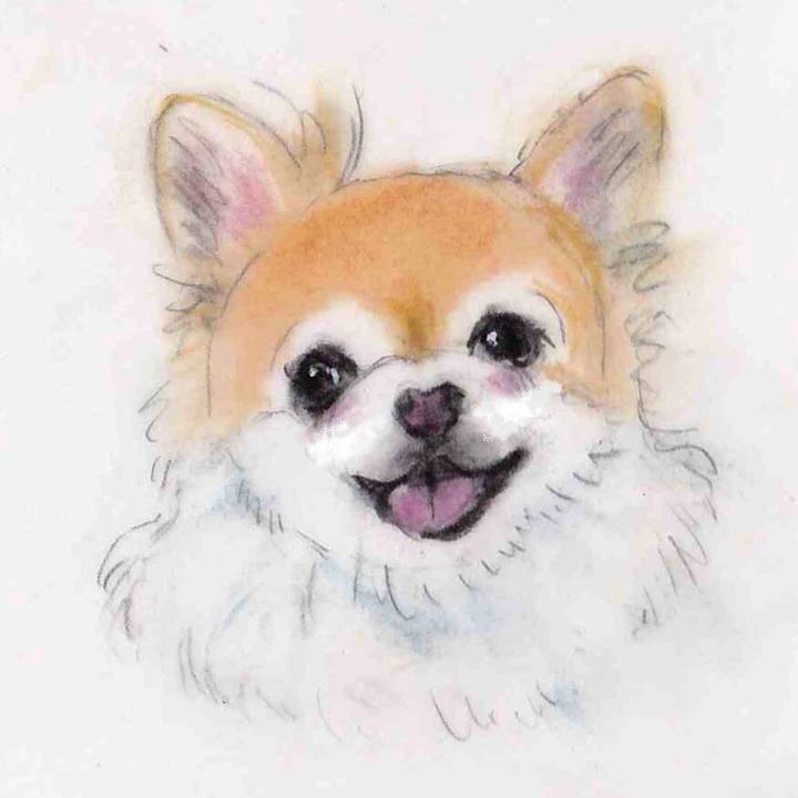 Badf2fc3 70a6 41cc 9983 de63641a463e 1631892528171