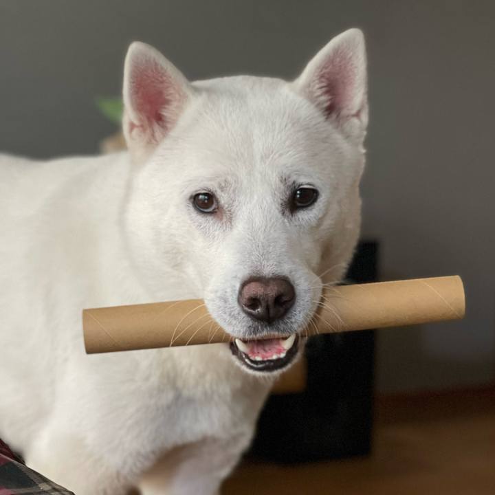 Badf3f50 8569 422a ae5e 46220f4d42ca 1644833500789