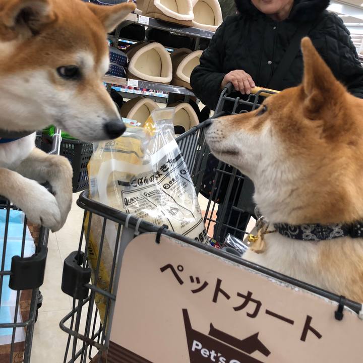 Badf859e 3c1c 4c44 ac8d 7e66a1e361a9 1519050894999