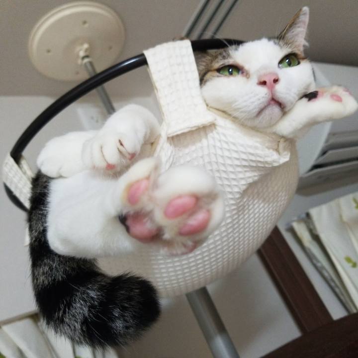 Badfc79a 84b2 4117 a1dd 751aac8302f1 1596363045137