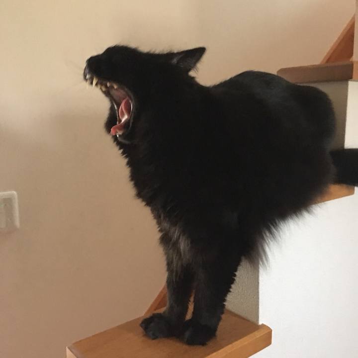 Bae00e22 1a5b 4d84 b708 2711ea6b4cd9 1525771338109