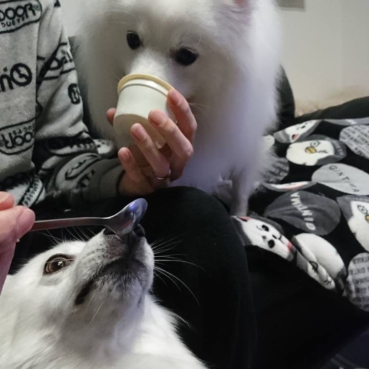 Bae02d07 6690 4e14 a9c3 77d51b5d4f76 1574174797771