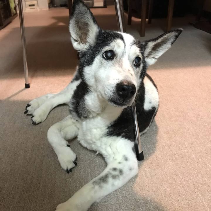 Bae04532 f115 4ca9 b5d0 11a9270610fa 1568039761198