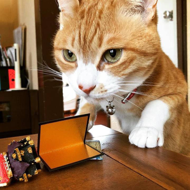 Bae051b8 2eb3 4a6c 9185 54012258a870 1557059432950