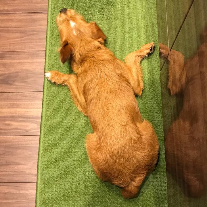 Bae06f21 92b0 42d7 b037 eda079e64369 1529628447127