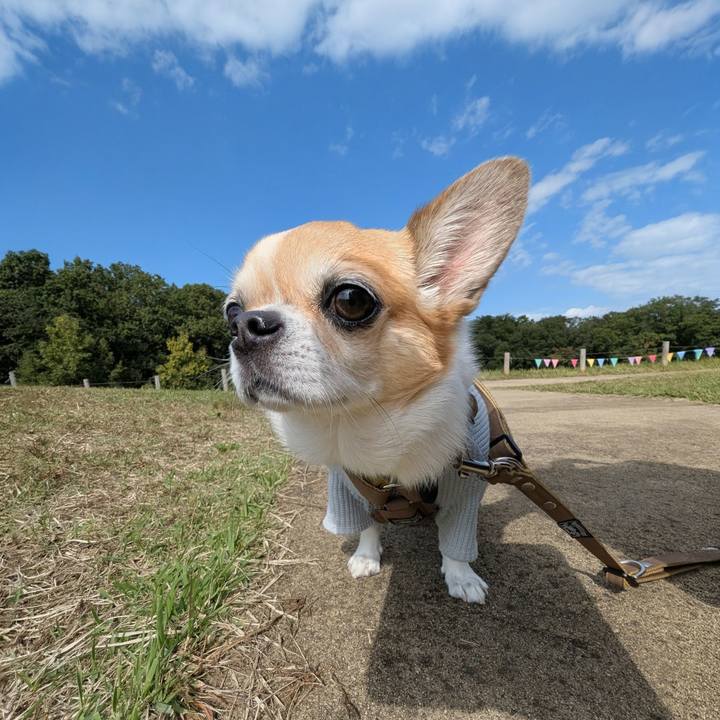 Bae0d3fa e009 4971 906e d17e1dabe98c 1761636252308